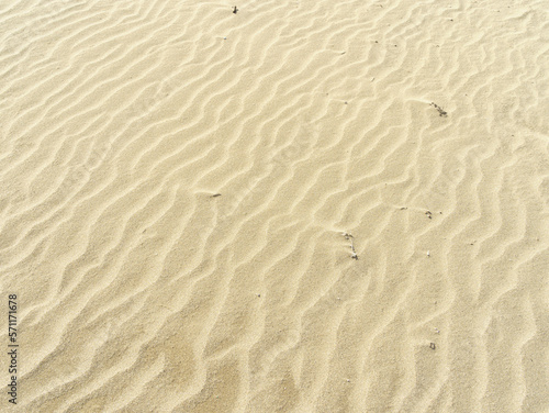 波打つ砂浜