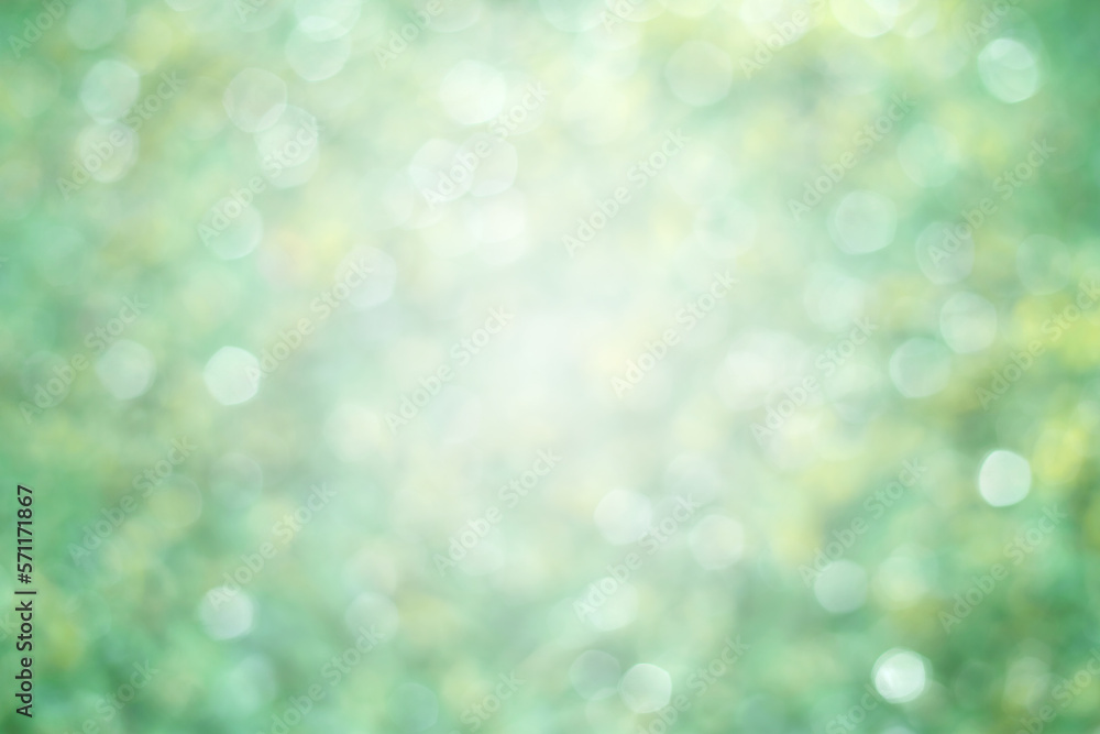 image to crop