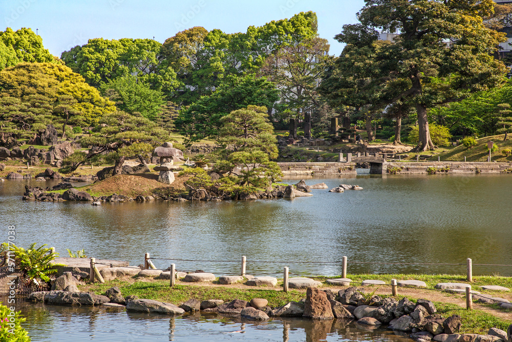 Fototapeta premium 旧芝離宮恩賜庭園, 夏