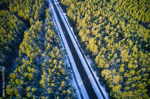 Aerial view from drone of concrete road leading through spring dense forests and groves in yellow green colors. Trees in golden time and empty highway in springtime. Roadway among colorful treetops