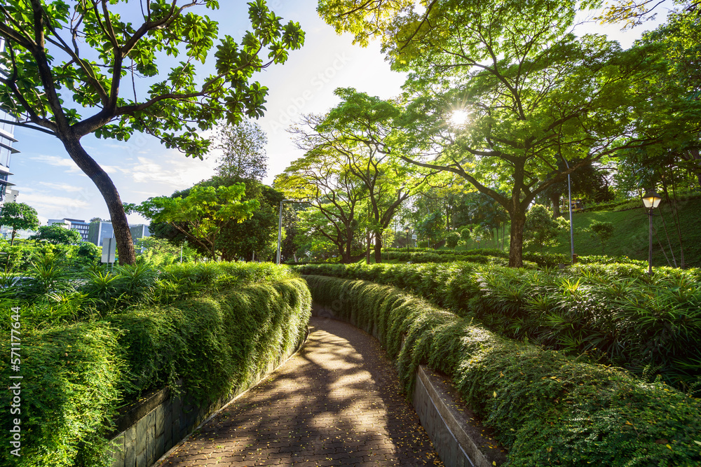 Beautiful walkway at fort canning park in Singapore with sunlight in the morning