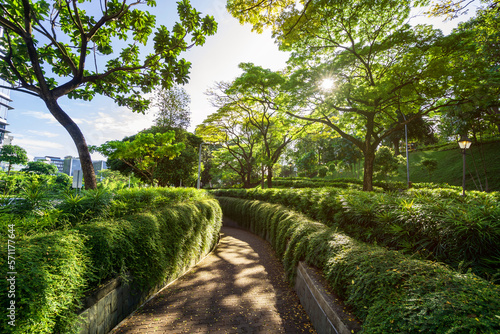 Photography Beautiful walkway at fort canning park in Singapore with sunlight in the morning