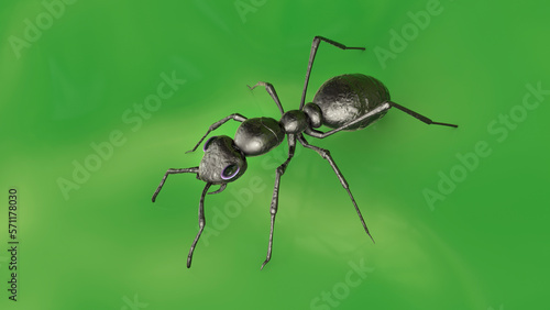 3D illustration of an ant, displaying its intricate body structure and unique features © Dr_Microbe