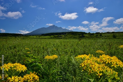 利尻島の夏景色