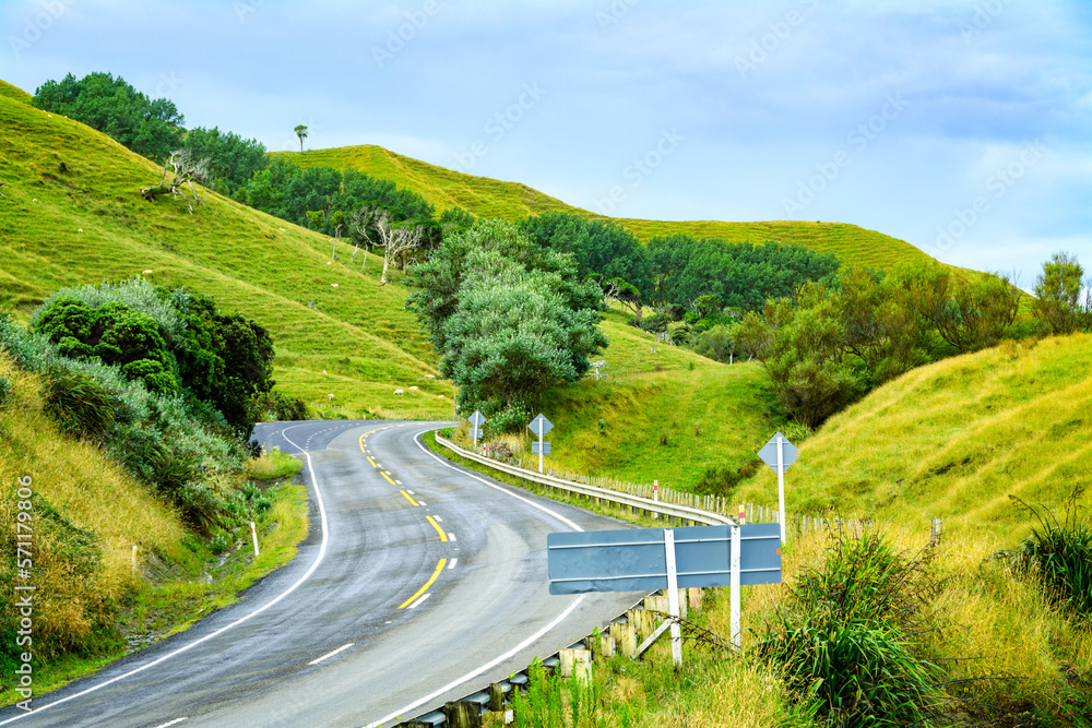 Winding Paved Road through the green hills. Gisborne, North Island, New Zealand