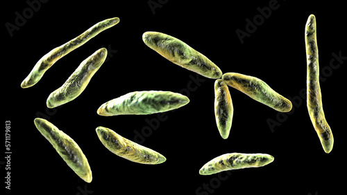 Ustilago maydis, a fungal pathogen affecting corn plants. 3D illustration displaying its unique morphological features photo