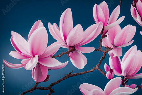 Beautiful pink magnolia flowers in the spring  Generative AI Art Illustration 02