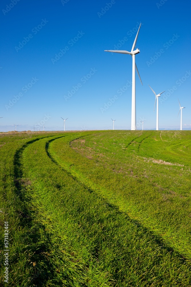Wind turbines generators for green electricity production
