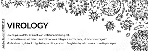 Virus horizontal background in sketch style. Hand drawn bacteria, germ, microorganism. Microbiology scientific design. Vector illustration in sketch style