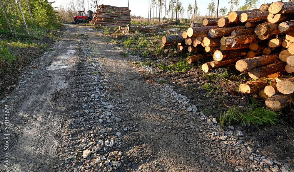 cutting area with stacked timber in Sweden cutting area with stacked timber in Sweden