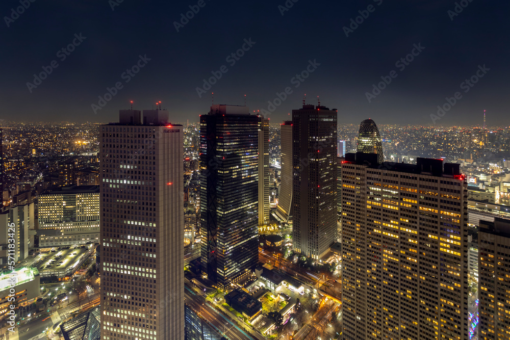 Night city scape from Tokyo Metropolitan Government Building, Japan.
