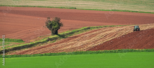Stubble being turned into the earth on a Devon farm after harvest. It is now illegal for UK farmers to follow the traditional course of burning it off