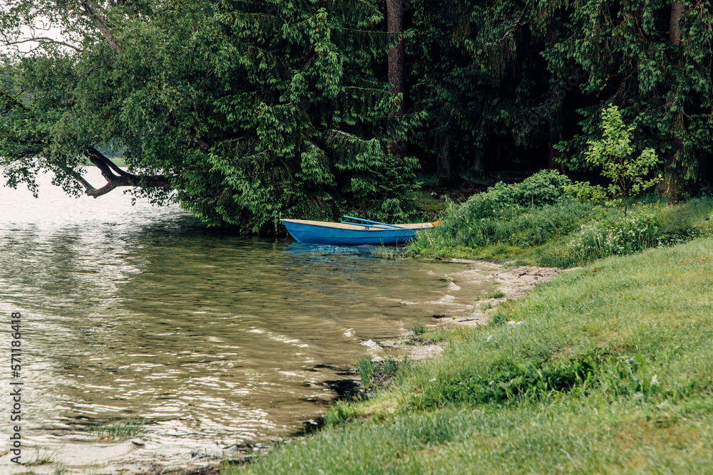 Obraz premium An old blue boat near the shore, surrounded by a green forest.