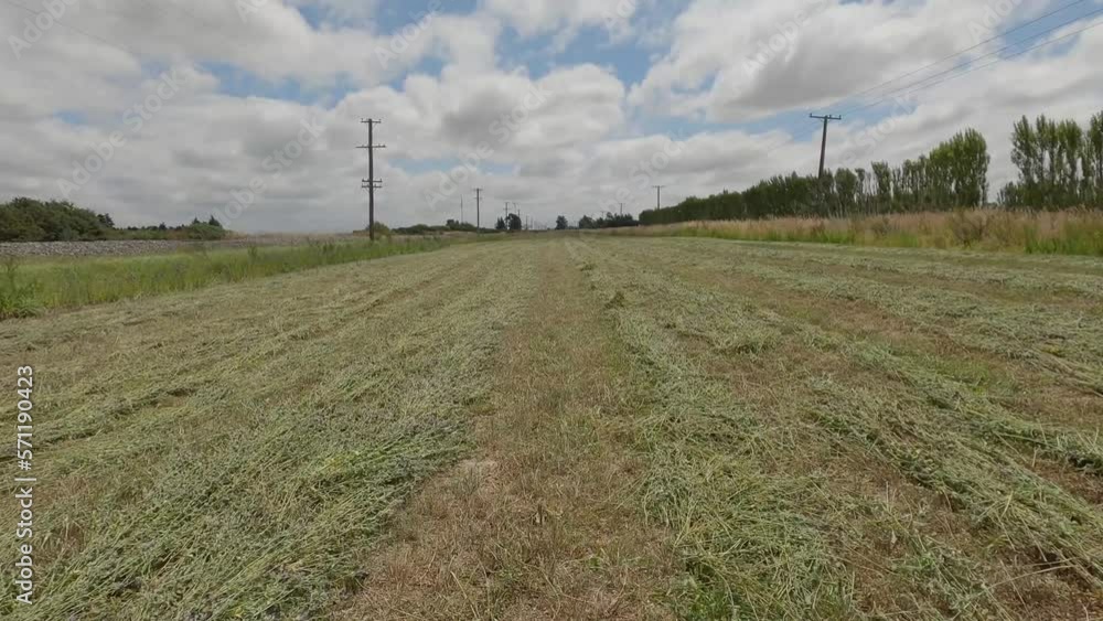 POV (slow motion) off-road cycling on recently cut field in summertime - Canterbury, New Zealand POV (slow motion) off-road cycling on recently cut field in summertime - Canterbury, New Zealand