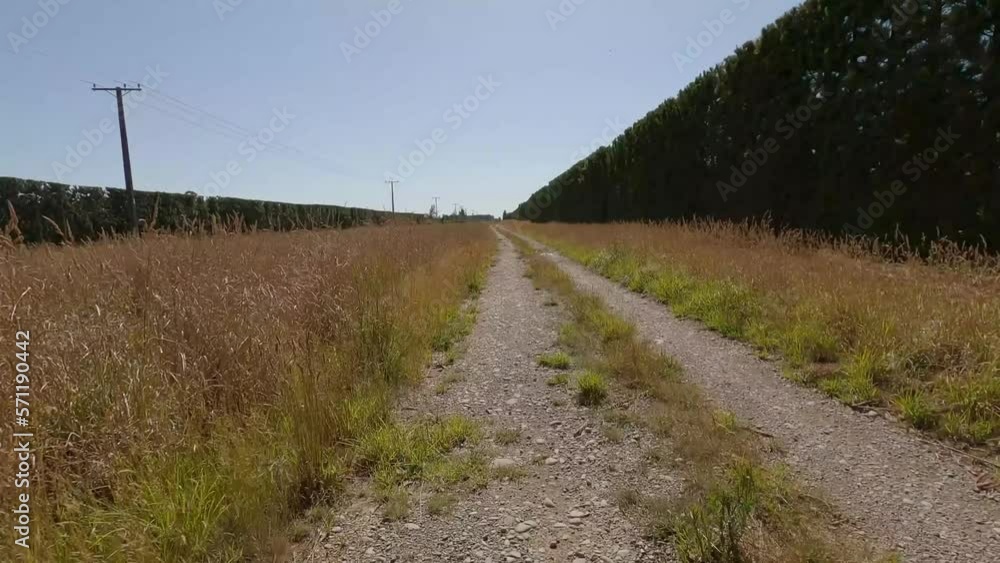 POV off-road cycling past beautiful golden-grass under a clear blue sky - Canterbury, New Zealand POV off-road cycling past beautiful golden-grass under a clear blue sky - Canterbury, New Zealand