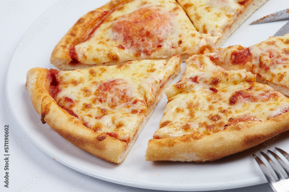 tasty pizza on the white tasty pizza on the white
