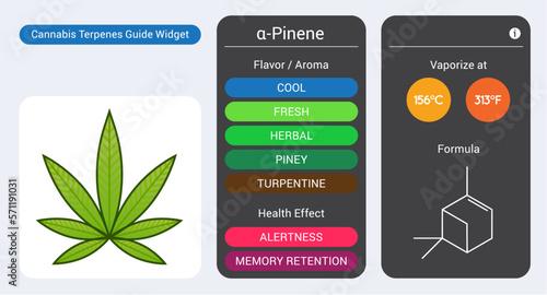 Cannabis Terpene Guide Information Chart. Aroma and Flavor with Health Benefits and Vaporize Temperature. Vector.