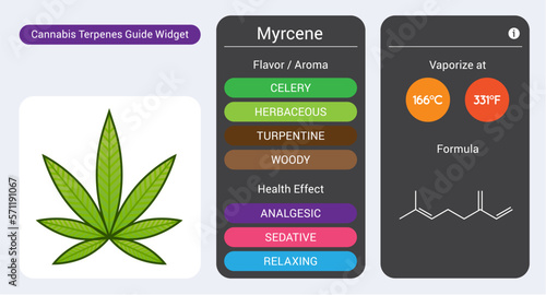 Cannabis Terpene Guide Information Chart. Aroma and Flavor with Health Benefits and Vaporize Temperature. Vector. photo