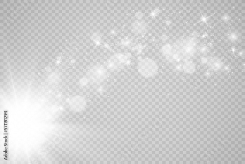 Brilliant gold dust vector shine. Glittering shiny ornaments for background. Vector illustration. 