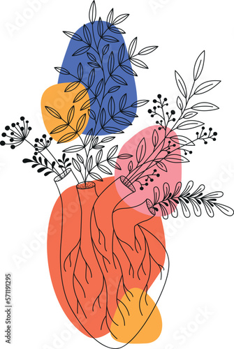 Anatomic heart with plants. Vector line illustration with colorful shapes