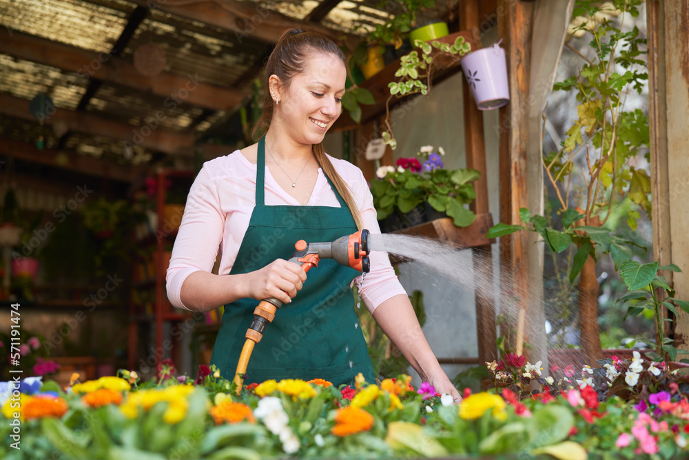 Florist watering flowers as plant care Stock Photo Adobe Stock