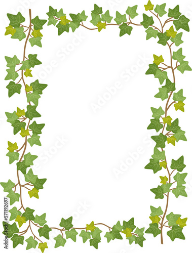 アイビーのフレーム