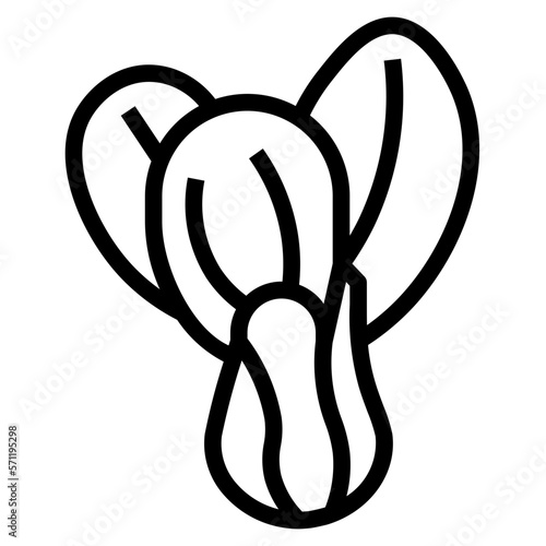 bok choy line icon style