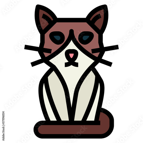 Snowshoe Cat filled outline icon style