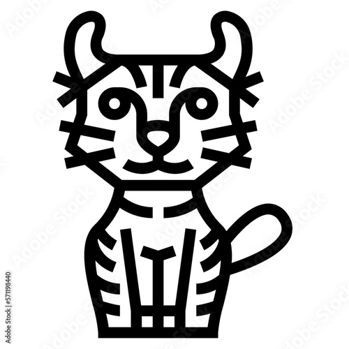 Foto Highlander Cat icon style