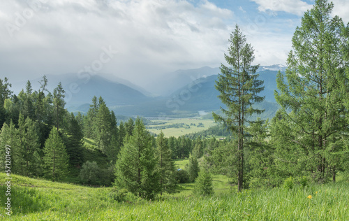 Mountain valley on a cloudy day, summer greenery of forests and meadows