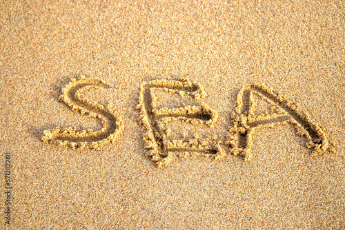 The word "sea" written with a finger on wet beach sand