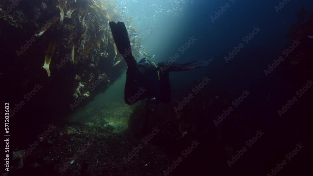 Cold water diver going by a nice reef on a dive in the Atlantic ocean in Percé, Québec, Canada Cold water diver going by a nice reef on a dive in the Atlantic ocean in Percé, Québec, Canada
