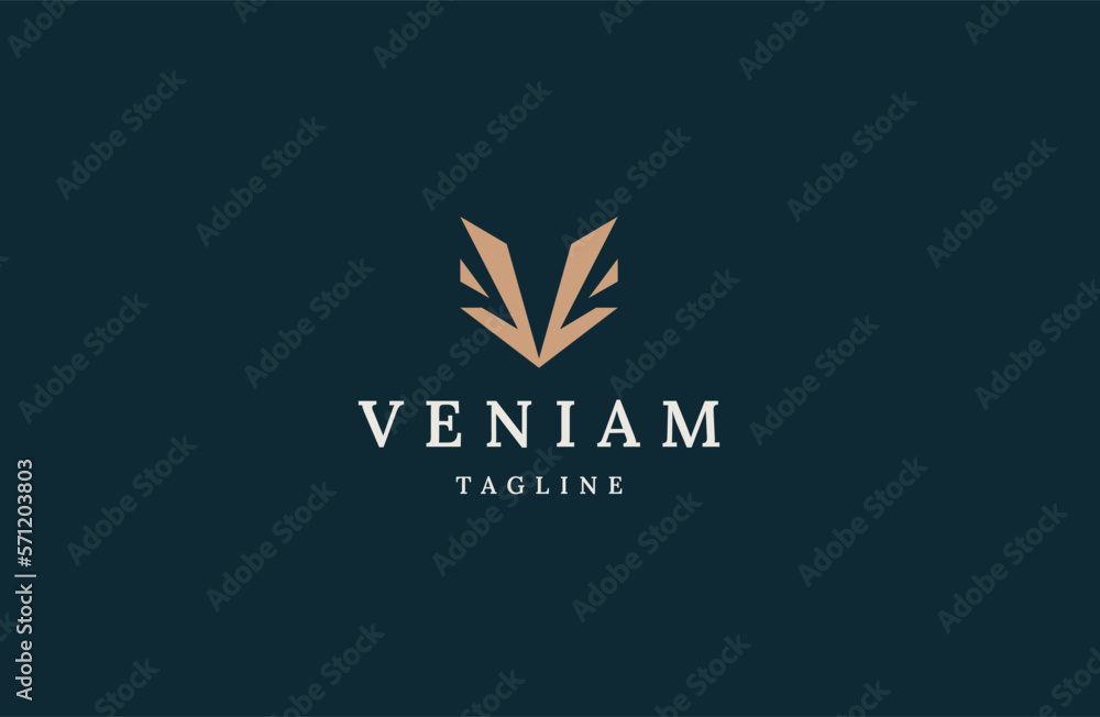 Letter V initial logo design template flat vector