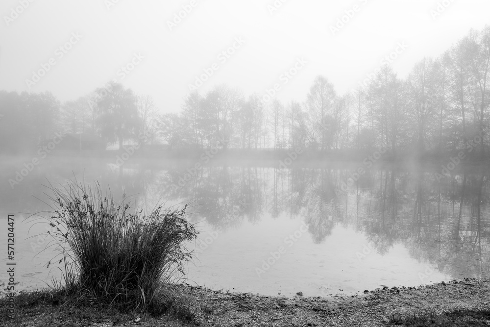 Fototapeta premium Germeringer See near Germering in Upper Bavaria. Landscape at the lake in the fog. Black and white shot. Foggy morning in nature.