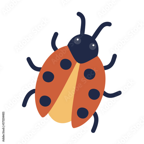 Ladybug. Vector illustration of a funny bug in cartoon style. Isolated on a white background. © PorEka