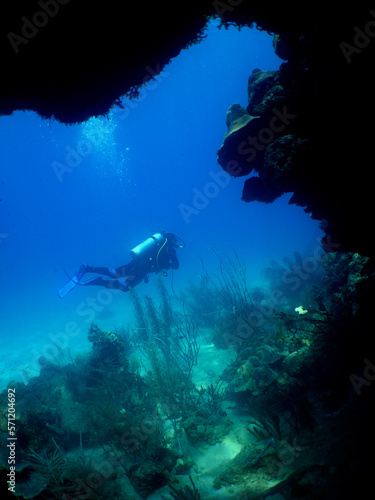 a diver in a coral reef in the caribbean sea