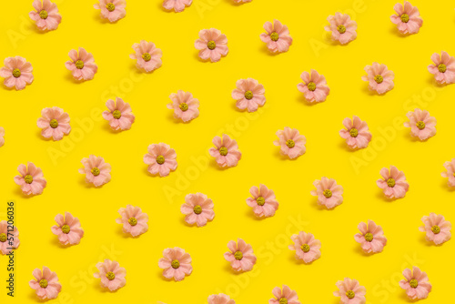 Scheme of small decorative and artificial pink flowers arranged in a row on a yellow background. Floral background.Background from flowers.