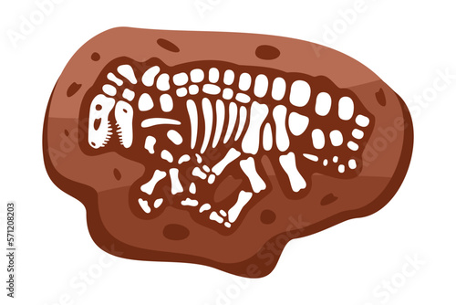 Velociraptor fossils skeleton. Velociraptor fossil bones. Dinosaur skeleton. Dinosaur bones with skull. Paleontology and archeology.