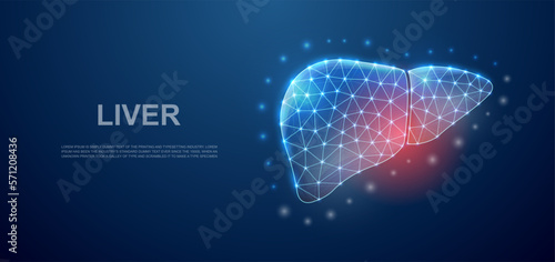 Liver 3d low poly symbol with pain center for landing page template. Liver pain design illustration concept. Polygonal organ illustration