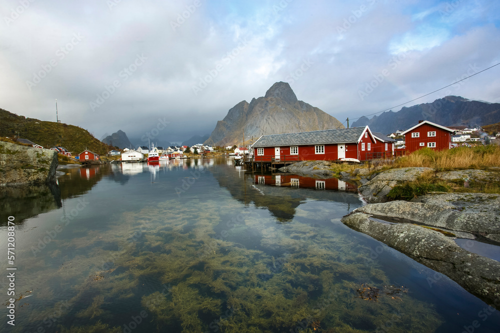 Naklejka premium Harbor in Lofoten islands, Norway, Reine village