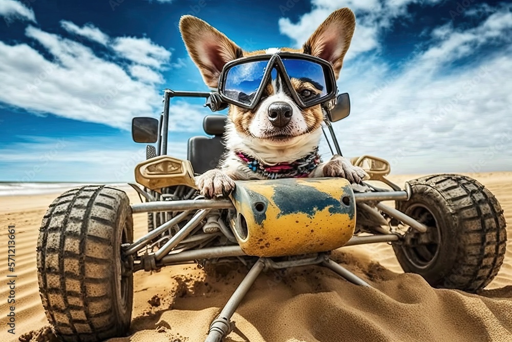 Buggy dog new arrivals