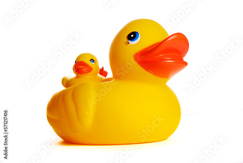 Toy duck