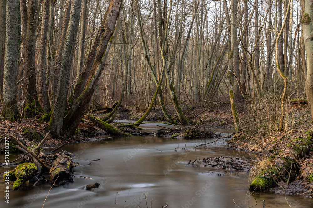 A charming river in a forest gorge A charming river in a forest gorge