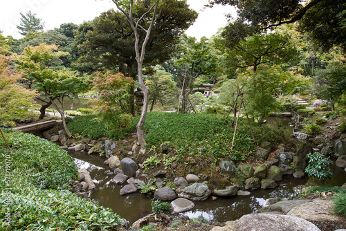 旧古河庭園,日本庭園 photo