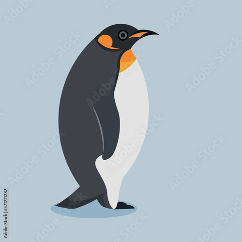 Flat design of King penguin on a white background