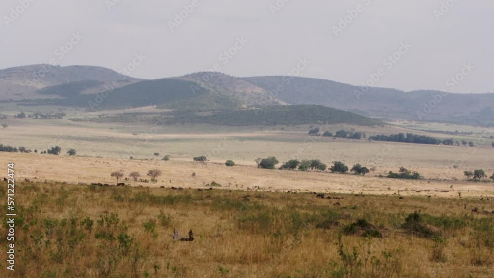 View of horizon land and mountains in Kenya behind monochrome sky. Safaris always start in Kenya, and sophisticated travelers fall in love with this wonderful world and return to Africa. View of horizon land and mountains in Kenya behind monochrome sky. Safaris always start in Kenya, and sophisticated travelers fall in love with this wonderful world and return to Africa.