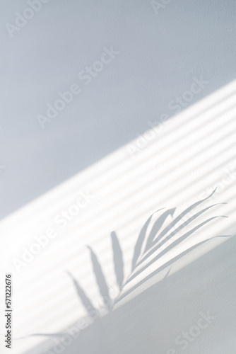 Tropical palm leaves with shadows on white concrete wall abstract blurred background. Minimal vertical scene for product display presentation