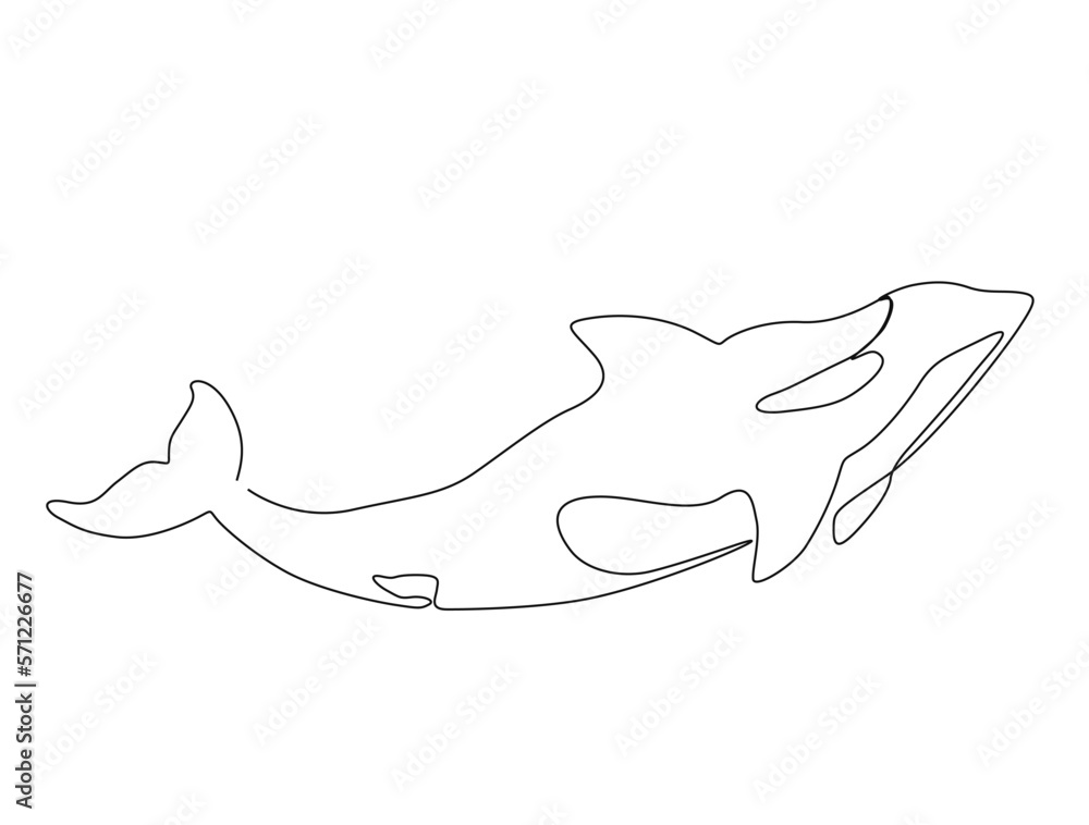 Continuous one line drawing of killer whale. Simple illustration of orca whale line art vector illustration Continuous one line drawing of killer whale. Simple illustration of orca whale line art vector illustration