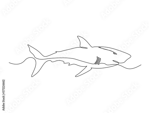 Continuous one line drawing of shark fish. Simple illustration of saltwater fish line art vector illustration
