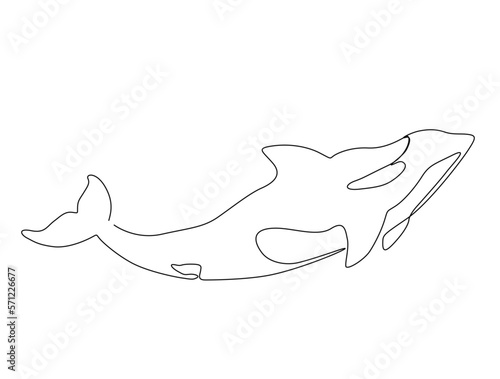 Continuous one line drawing of killer whale. Simple illustration of orca whale line art vector illustration